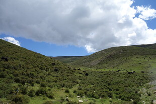 青山绿野间的壮阔自然景观