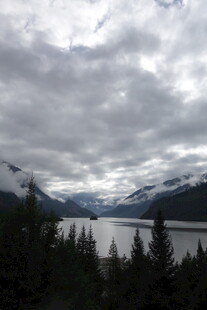 云雾笼罩下的山水森林景