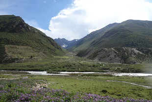 山间绿野美景如画