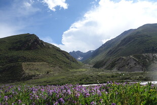 山间花海 邂逅自然之美