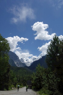 山间公路 蓝天白云伴绿树