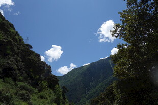 山间蓝天绿树美景