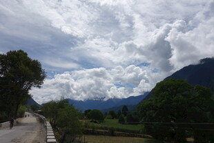 山间公路旁的秀丽自然风景
