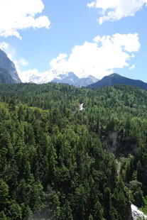 山林美景 绿意盎然的自然