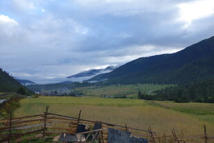 山间田野风景如画