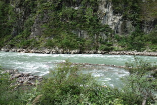 山间湍急河流与葱郁植被