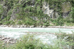 山间清澈河流与葱郁植被