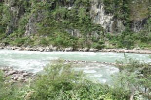 山间湍急河流与葱郁植被