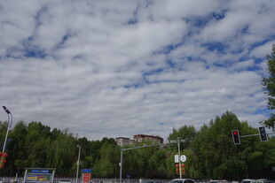 蓝天白云下的绿树城镇