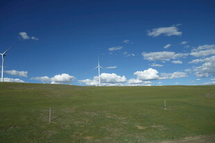 草原上的风力发电机组