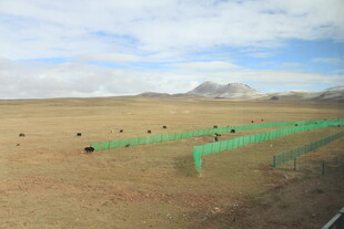 沙漠中的绿色围栏景观