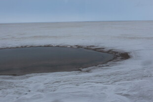 冰原上的神秘黑色水坑