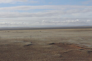 荒凉广袤的旷野景观