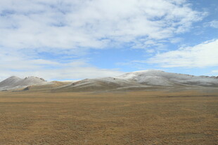 广袤荒原与远处雪山景观
