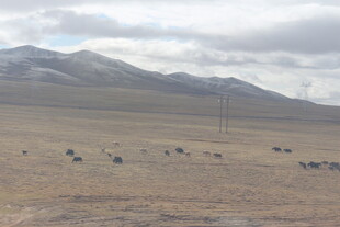 广袤荒凉的戈壁与远山