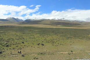 广袤草原与远处山峦风景