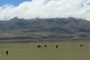草原上的远行者与巍峨山脉