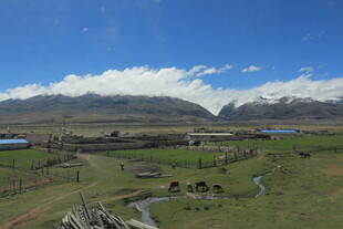 草原风光与远处雪山美景