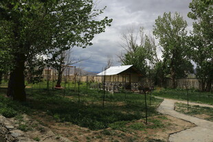 乡村小屋旁的宁静小路