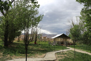 乡村小屋旁的宁静景致