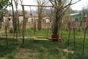 乡村庭院中的简易秋千架