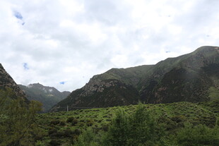 山间绿意盎然的自然景致