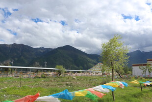 草原上的多彩经幡与远山