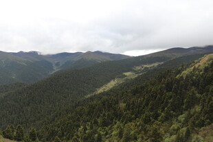 山峦叠翠的壮阔自然景观