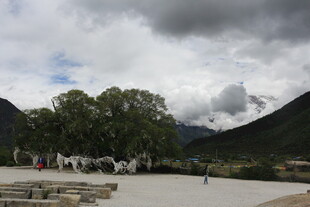 山间开阔场地与葱郁树木