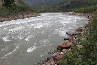 湍急河流与岸边绿植景观