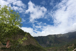 山间蓝天绿树美景