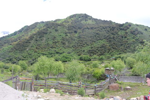 青山绿树旁的休闲场景