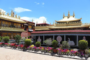 藏式寺庙建筑与绚丽花卉