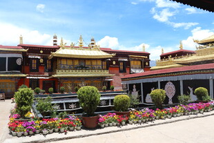 藏式寺庙前的多彩花卉景观