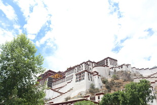 布达拉宫 蓝天白云下的壮丽建筑