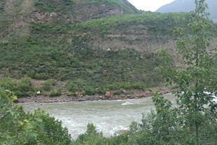 山间河流旁的葱郁景致