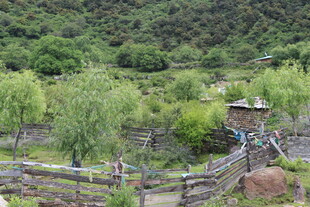 乡村田园风光小屋与围栏