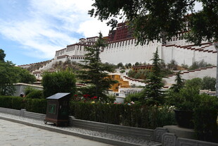 布达拉宫前的绿植景观