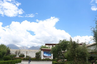 蓝天白云下的美丽建筑