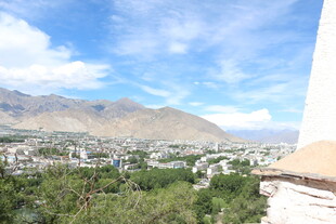 俯瞰绿树环绕的山城风光