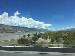 公路旁蓝天白云绿树风景