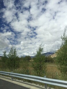 公路边的蓝天白云绿树