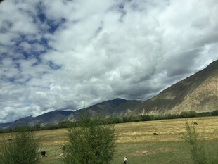 草原山峦间的壮阔风景