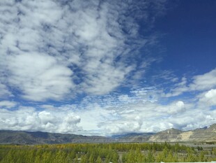 蓝天白云下的广袤原野