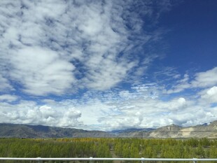 蓝天白云下的广袤原野