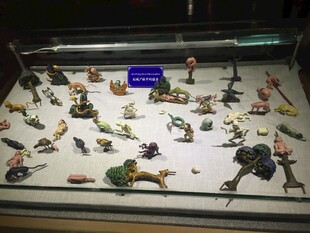 多样恐龙模型展示