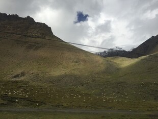 山间草原与空中飞鸟景象
