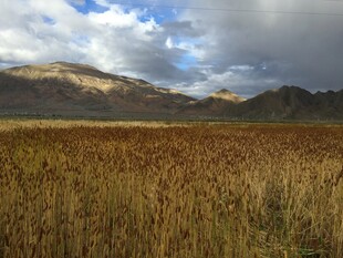 草原远山与天空美景