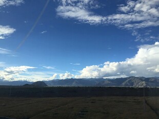 蓝天白云下的广袤原野