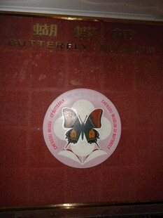 圆形蝴蝶装饰墙面图案